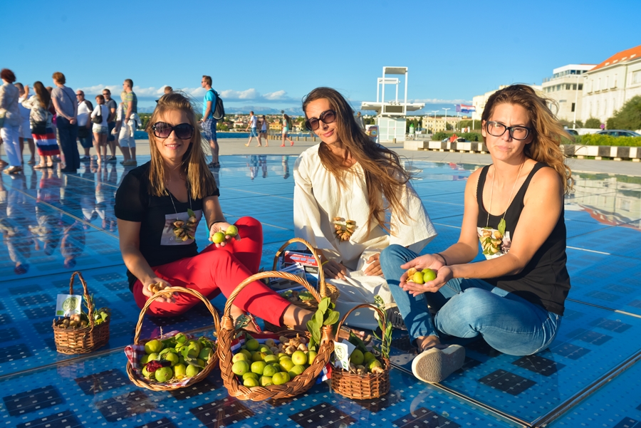 Festival smokava na Pozdravu suncu Festival smokava na Pozdravu suncu
