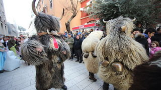 Zadarski karneval 2016. – najlipše maškare i maškarane skupine. Foto: Leo Banić