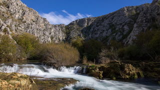 OLYMPUS DIGITAL CAMERA OLYMPUS DIGITAL CAMERA