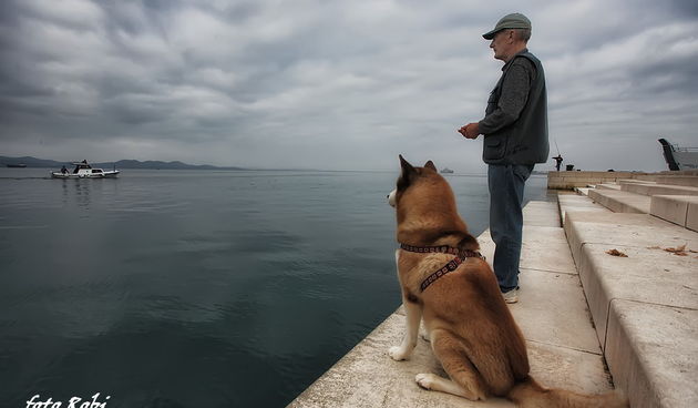 Skitnja gradom 11. listopada 2013.  Foto: Roberto Lerga