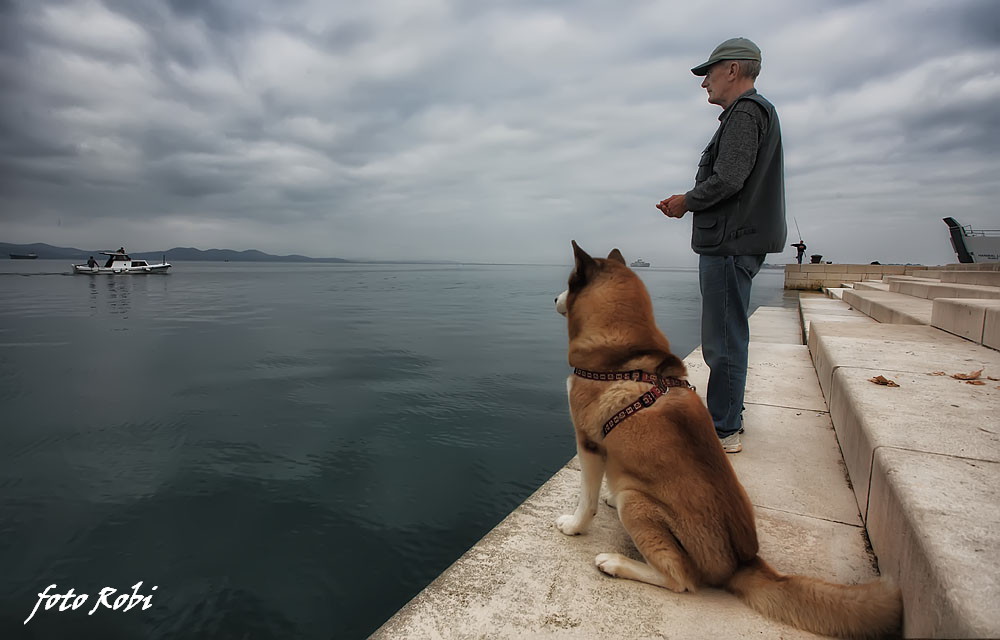 Skitnja gradom 11. listopada 2013.  Foto: Roberto Lerga