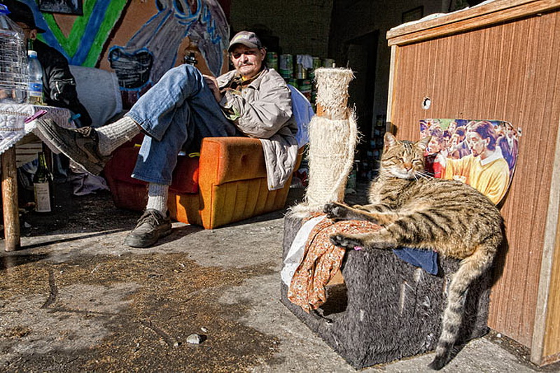 Kako zive beskucnici