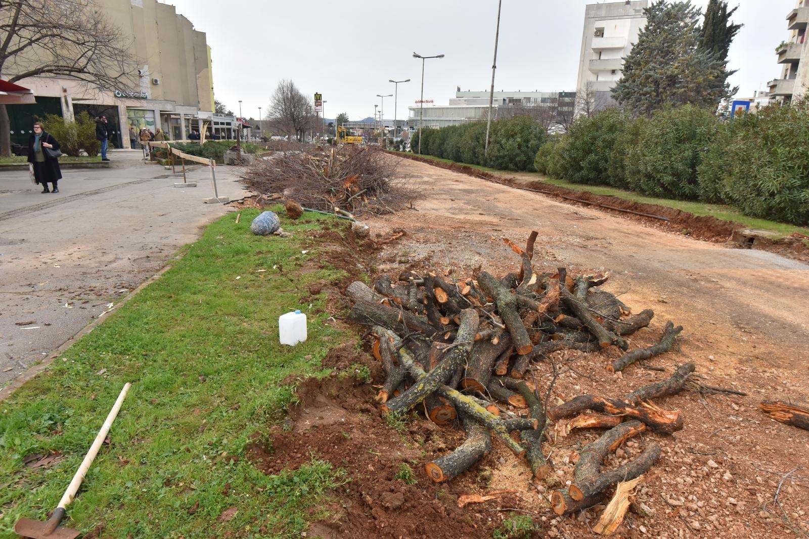 Na Bulevaru posječena stabla lipe stara 40 godina
