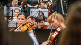 Zadarski komorni orkestar: Beethovenova Deveta simfonija u katedrali Sv. Stošije