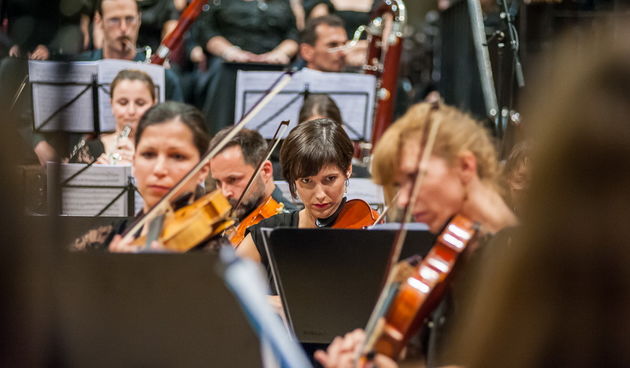 Zadarski komorni orkestar: Beethovenova Deveta simfonija u katedrali Sv. Stošije