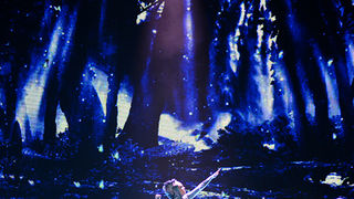 Lord of the dance, foto:Iva Perinčić Lord of the dance, foto:Iva Perinčić