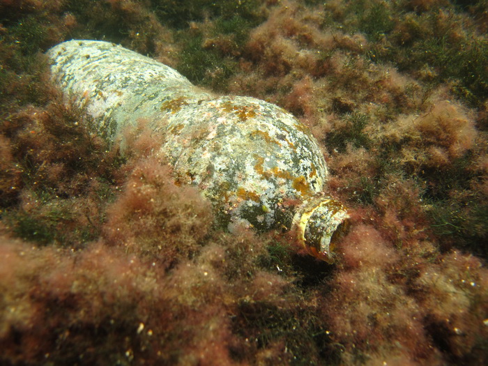 Biograd na Moru: Akcija ciscenja podmorja u uvali Jaz “Cistimo zajedno”