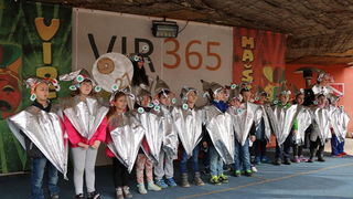 Virski karnevalić 2016. Virski karnevalić 2016.