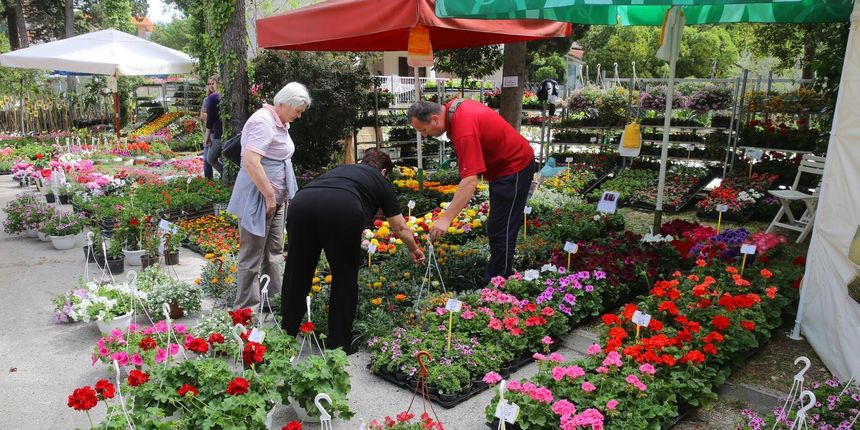Festival cvijeća u Sv. Filip i Jakovu