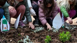 U Vruljici uređen Kišni vrt U Vruljici uređen Kišni vrt