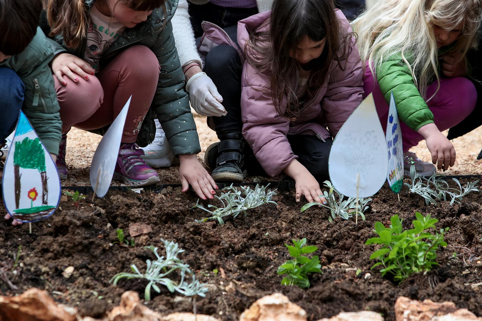 U Vruljici uređen Kišni vrt U Vruljici uređen Kišni vrt
