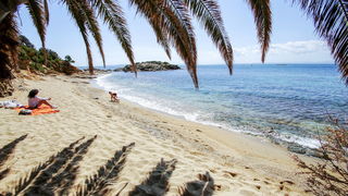BeachRex.com: Plaže Hrvatske na jednom mjestu BeachRex.com: Plaže Hrvatske na jednom mjestu