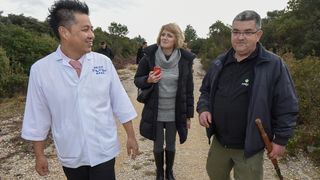 Tuna, sushi and wine festival: Ručak u Kraljevskim vinogradima Tuna, sushi and wine festival: Ručak u Kraljevskim vinogradima