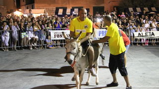 Tisno: Međunarodna trka tovarov 2013, Foto: Edin Kadić Tisno: Međunarodna trka tovarov 2013, Foto: Edin Kadić