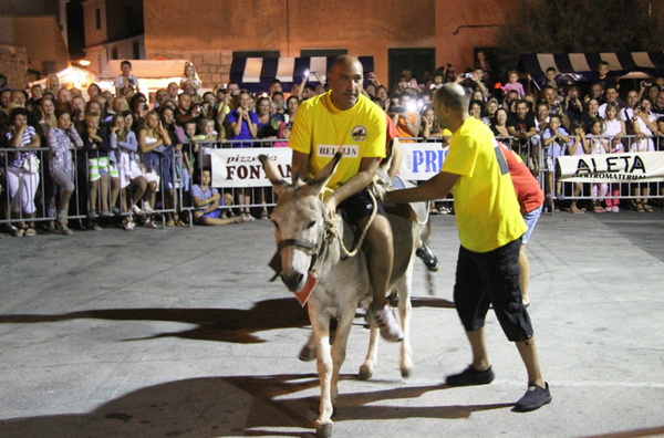 Tisno: Međunarodna trka tovarov 2013, Foto: Edin Kadić Tisno: Međunarodna trka tovarov 2013, Foto: Edin Kadić