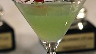 Havana Cup 2009. – 15. regionalno natjecanje barmena (foto: Marin Gospić)