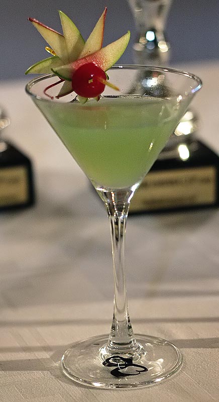 Havana Cup 2009. – 15. regionalno natjecanje barmena (foto: Marin Gospić)