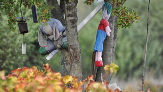 Zadar, 021111
Uz cestu koja vodi od Zadra prema Razancu moze se vidjeti jedan od sigurno najneobicnijih vinograda na svijetu. Umjesto uobicajenih strasila, vinograd cuvaju ogromni plisani medvjedi , lutke, barbike i raznorazne druge igracke i predmeti.
Fo Zadar, 021111
Uz cestu koja vodi od Zadra prema Razancu moze se vidjeti jedan od sigurno najneobicnijih vinograda na svijetu. Umjesto uobicajenih strasila, vinograd cuvaju ogromni plisani medvjedi , lutke, barbike i raznorazne druge igracke i predmeti.
Fo