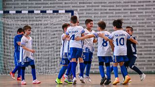 1.Cateleya indoor Cup 1.Cateleya indoor Cup