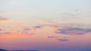 Bablje ljeto u Zadru: Riva je puna turista