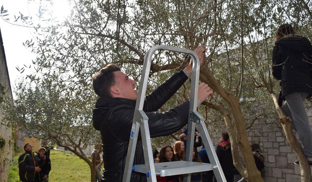 Poljoprivredna, prehrambena i veterinarska škola Stanka Ožanića Zadar, praktični dio nastave