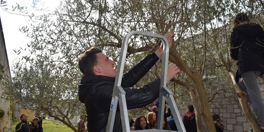 Poljoprivredna, prehrambena i veterinarska škola Stanka Ožanića Zadar, praktični dio nastave Poljoprivredna, prehrambena i veterinarska škola Stanka Ožanića Zadar, praktični dio nastave