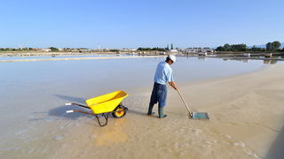 Nin: Prvi rođendan Muzeja soli