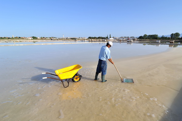 Nin: Prvi rođendan Muzeja soli