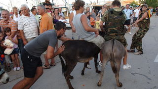 Zadar, 050809.
Danas je na otoku Ugljanu u mjesto Kukljica slavljena Gospa od Sniga. Festa u Kukljici vec tradicionalno prvlaci veliki broj ljudi, a uz ples tamosnje folklorne skupine odrzana je i utrka tovara.
Foto: Andrija lucic / CROPIX Zadar, 050809.
Danas je na otoku Ugljanu u mjesto Kukljica slavljena Gospa od Sniga. Festa u Kukljici vec tradicionalno prvlaci veliki broj ljudi, a uz ples tamosnje folklorne skupine odrzana je i utrka tovara.
Foto: Andrija lucic / CROPIX