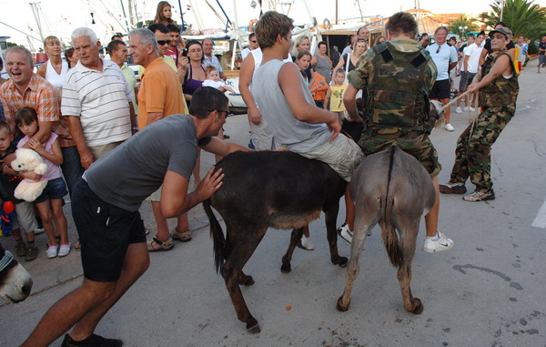 Zadar, 050809.
Danas je na otoku Ugljanu u mjesto Kukljica slavljena Gospa od Sniga. Festa u Kukljici vec tradicionalno prvlaci veliki broj ljudi, a uz ples tamosnje folklorne skupine odrzana je i utrka tovara.
Foto: Andrija lucic / CROPIX Zadar, 050809.
Danas je na otoku Ugljanu u mjesto Kukljica slavljena Gospa od Sniga. Festa u Kukljici vec tradicionalno prvlaci veliki broj ljudi, a uz ples tamosnje folklorne skupine odrzana je i utrka tovara.
Foto: Andrija lucic / CROPIX