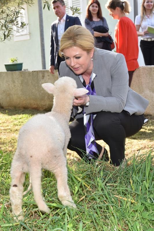 Predsjednica Grabar Kitarović u posjeti Olibu. Foto: Dino Stanin/PIXSELL