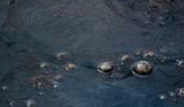 Izljev nafte (Foto: Earth times/Index.hr)