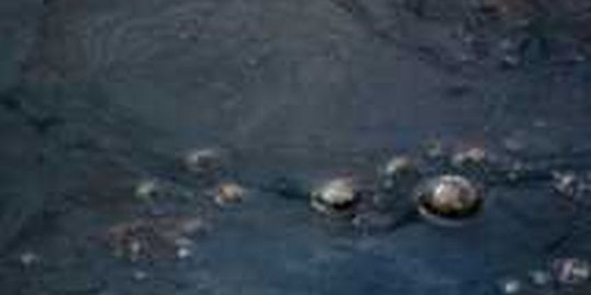 Izljev nafte (Foto: Earth times/Index.hr) Izljev nafte (Foto: Earth times/Index.hr)