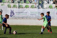 dalmatinko cup 2025 (9) dalmatinko cup 2025 (9)
