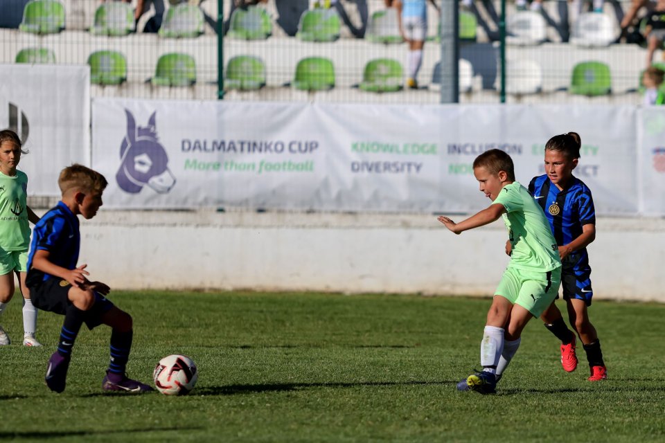 dalmatinko cup 2025 (9) dalmatinko cup 2025 (9)