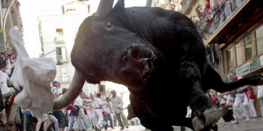 Image 1174653 (auto) Image 1174653 (auto)