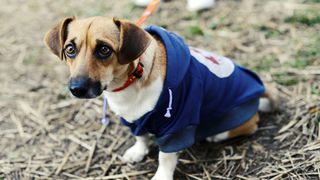 Održana akcija DasPas hoodie za azil Dumovec budi Održana akcija DasPas hoodie za azil Dumovec budi