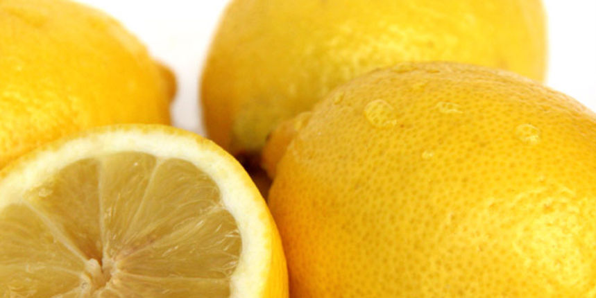 limuni (foto: Antonija Gospić)