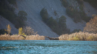 Izlet na Kudin most, foto: Darko Belančić Izlet na Kudin most, foto: Darko Belančić
