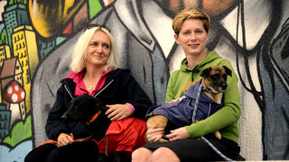 DasPas i street art umjetnici pomažu Azil Dumovec(psić,dogs) DasPas i street art umjetnici pomažu Azil Dumovec(psić,dogs)