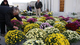 Gradsko groblje u Zadru u susret blagdanu Svih svetih