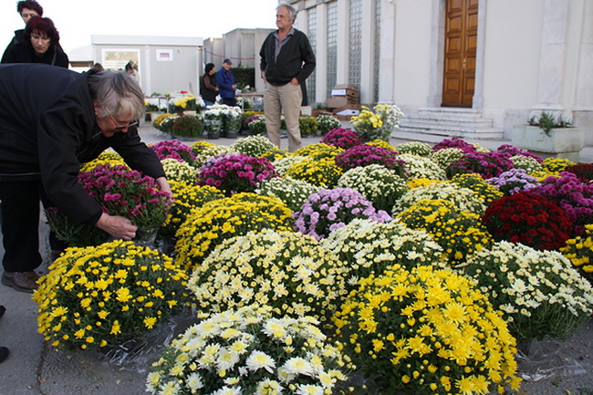 Gradsko groblje u Zadru u susret blagdanu Svih svetih