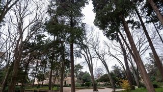 Đir po Perivoju Vladimira Nazora