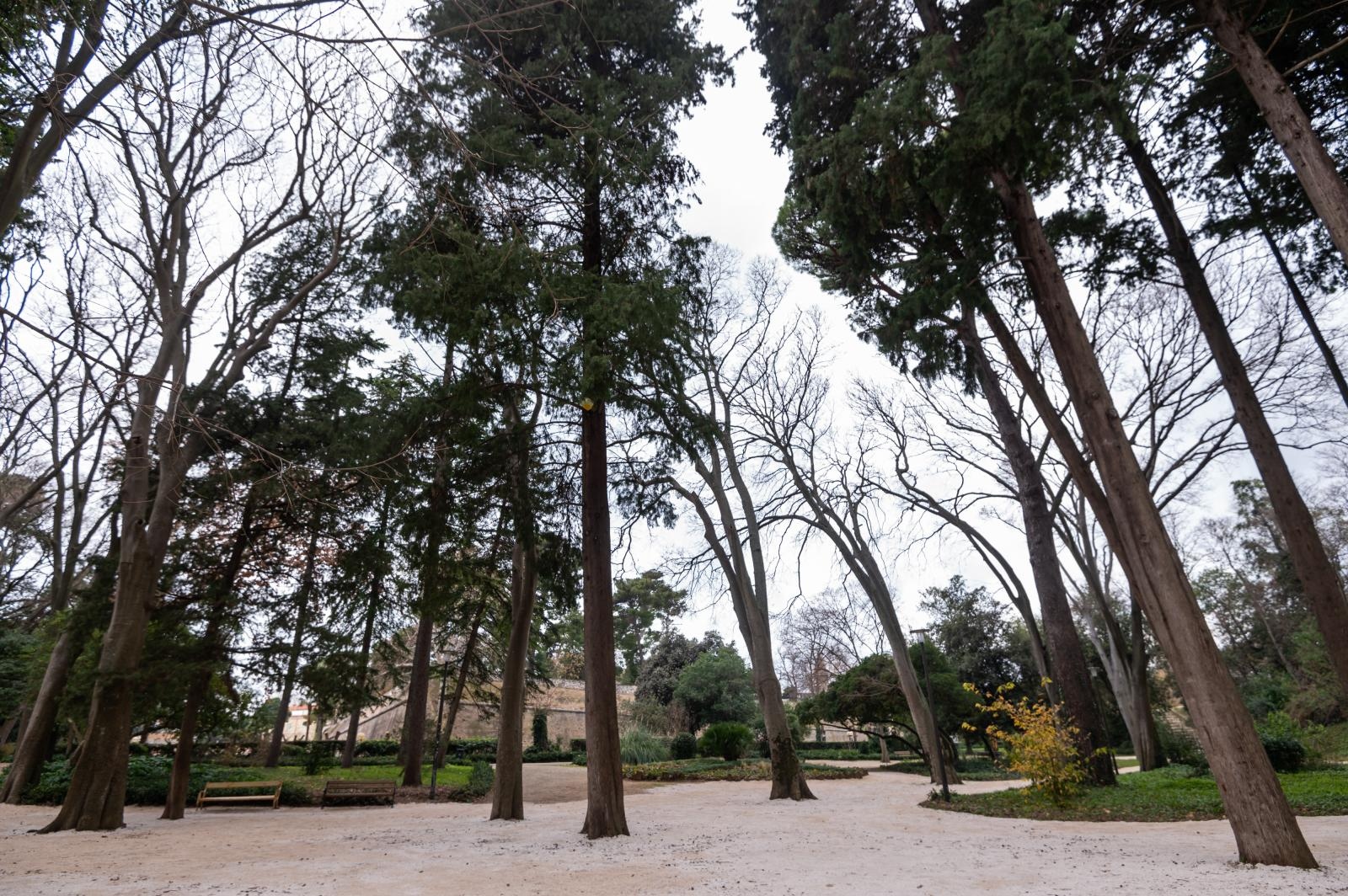 Đir po Perivoju Vladimira Nazora