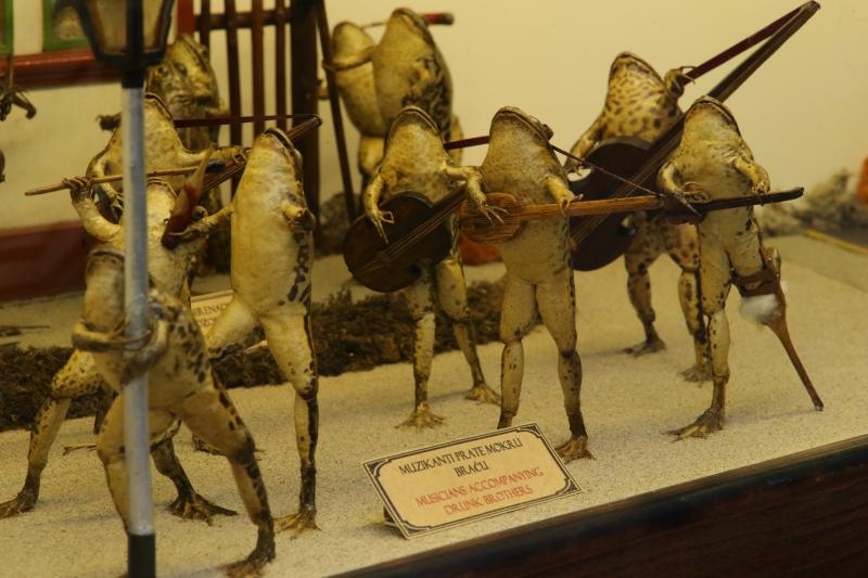 Zbirka od 500-tinjak prepariranih zaba u ljudskim situacijama, smjestena u bivsem kinu Tesla, prema rijecima vlasnika Ivana Medveseka, ne naliazi na dovoljno zanimanje institucija RH pa bi uskoro trebala preseliti u London. Photo: Ivo Cagalj/PIXSELL Zbirka od 500-tinjak prepariranih zaba u ljudskim situacijama, smjestena u bivsem kinu Tesla, prema rijecima vlasnika Ivana Medveseka, ne naliazi na dovoljno zanimanje institucija RH pa bi uskoro trebala preseliti u London. Photo: Ivo Cagalj/PIXSELL