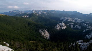 Nedjelja na Zavizanu