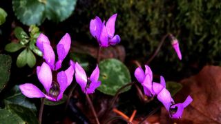 NP Plitvička jezera, listopad 2021.