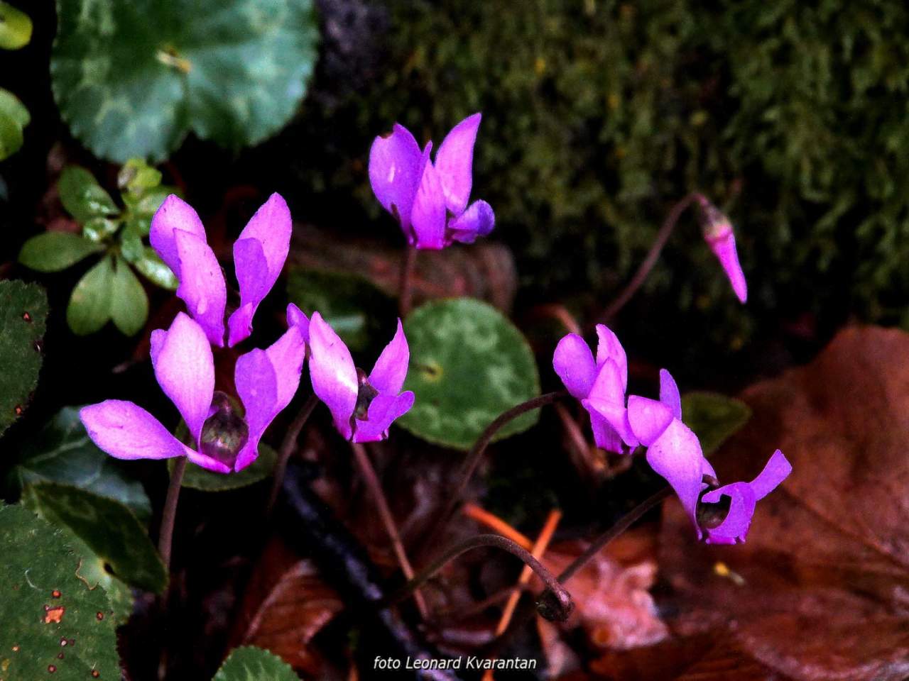 NP Plitvička jezera, listopad 2021.