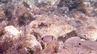 OLYMPUS DIGITAL CAMERA OLYMPUS DIGITAL CAMERA