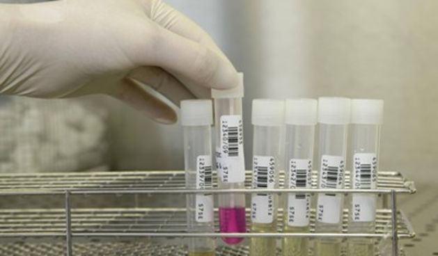 farmacija – farmaceuti